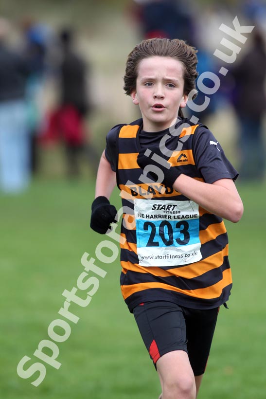 Blue 203, North East Harrier League, Sunderland